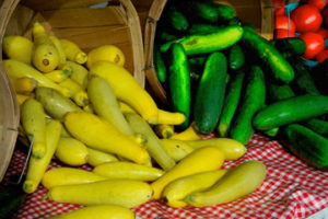Squash from Whittier Road Fruit Farm in Ogden.